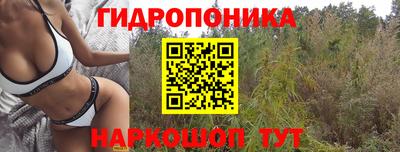 гашик Апрелевка